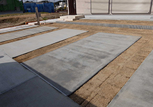 芝生とのコントラスト