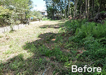 杉林を開墾宅地に！