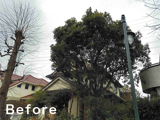 お庭の整備作業