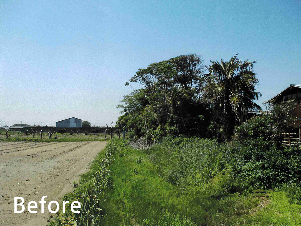 畑地の樹木伐採作業