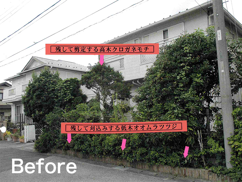 生垣のリフォーム