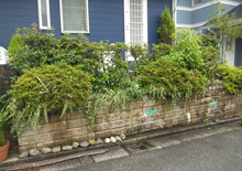 アメリカン型フェンス