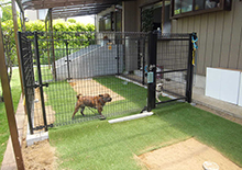 犬用フェンス庭