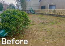 芝生のドッグラン