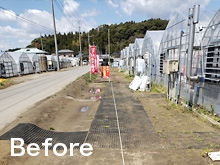 コンクリート園路