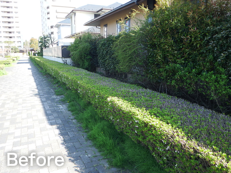 リガーデン～ブロック塀と人工芝～