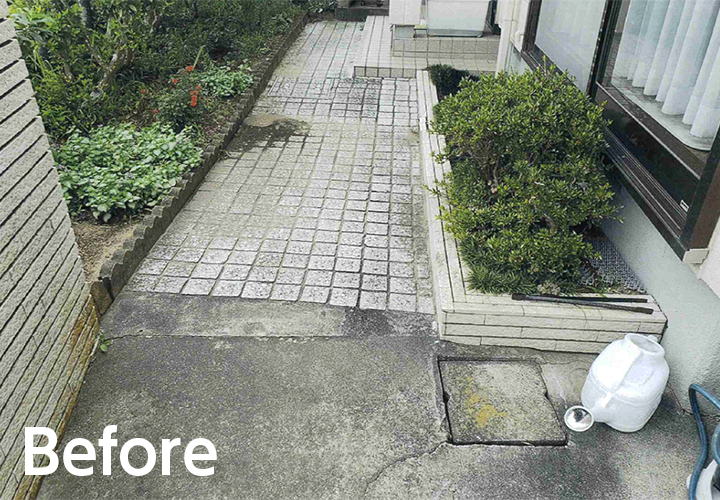 中庭のリガーデン