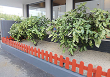 クローズドガーデン