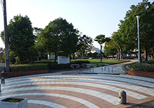 大網白里市都市公園管理　みやこ野地区