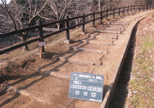 首都圏自然歩道管理工事（小中）※下請