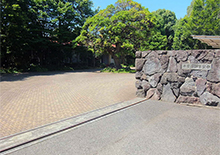 千葉県知事公舎　植栽管理業務