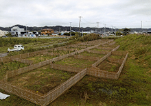 千葉県防災林造成業務委託 （長生地区　幸治・東浪見）
