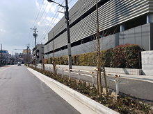 植樹帯再構築工事（東京都）