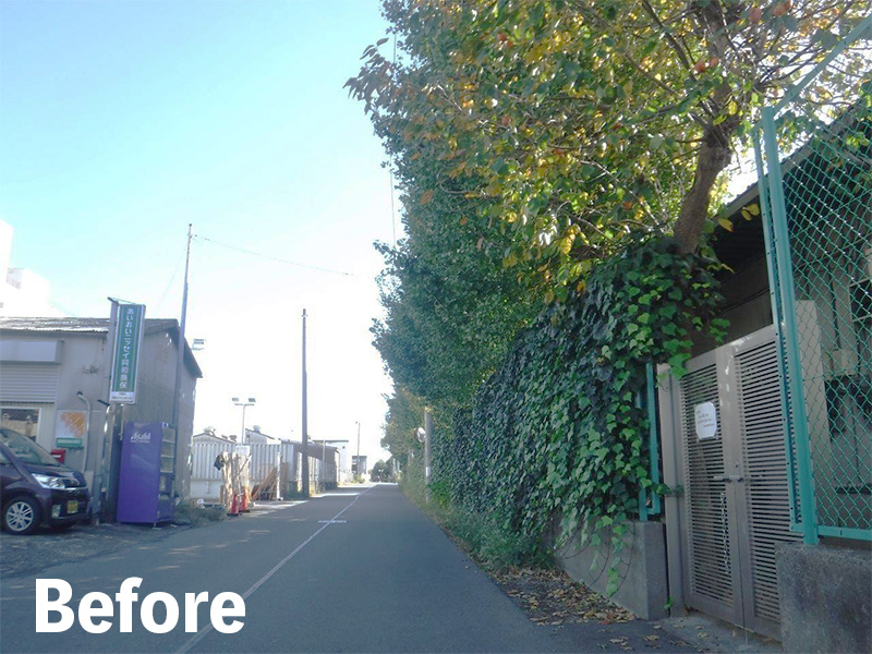 工場緑地の冬季剪定