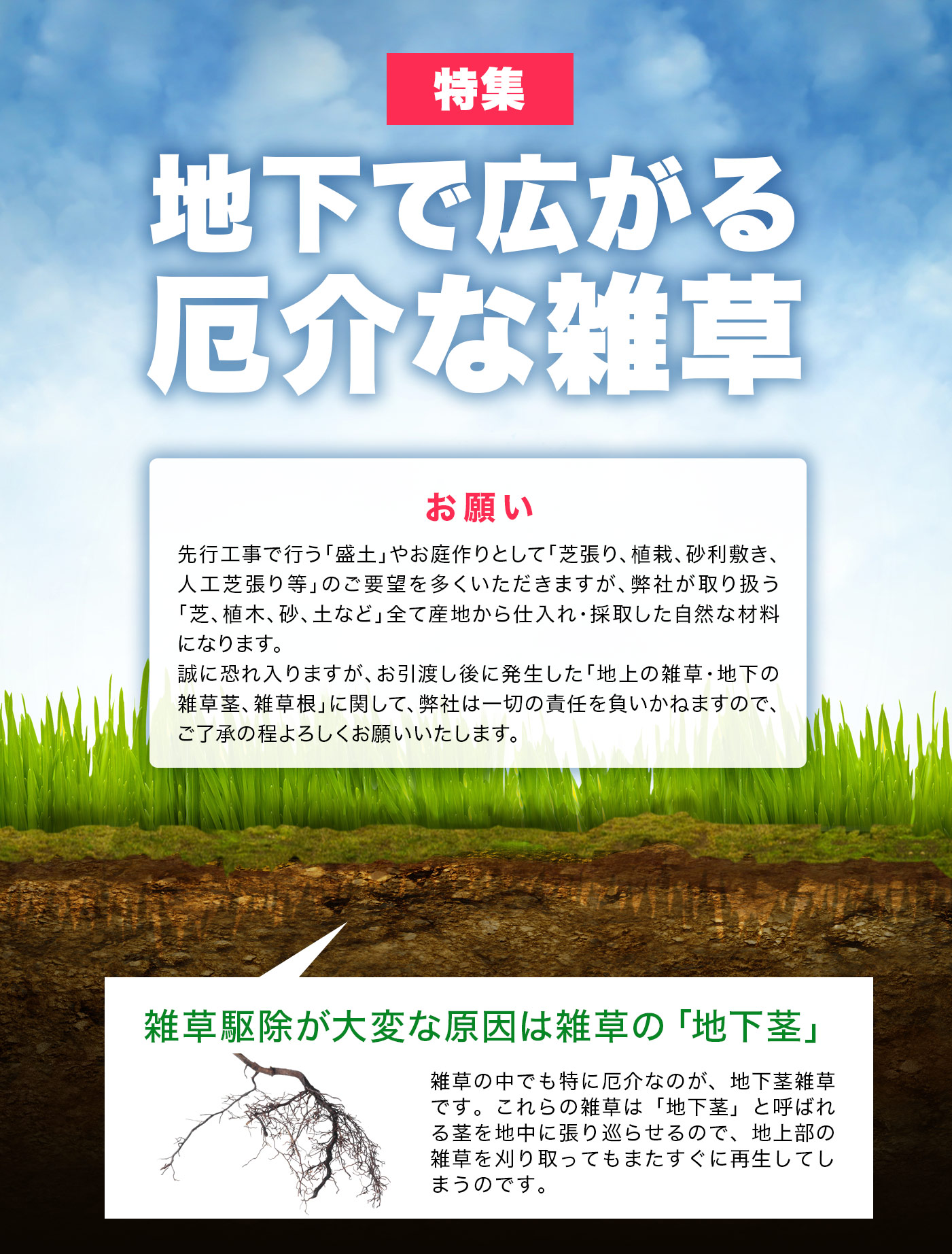 地下で広がる厄介な雑草