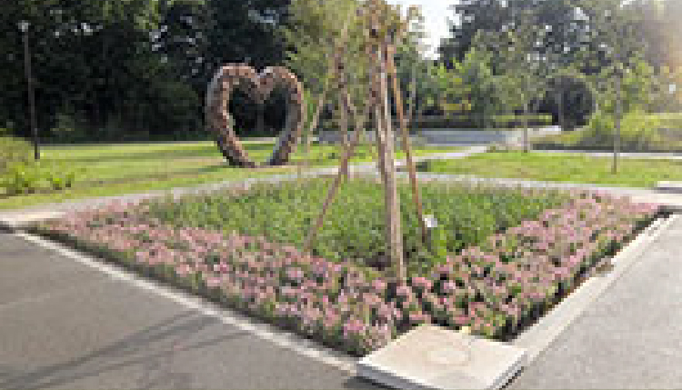 公共機関の緑地管理